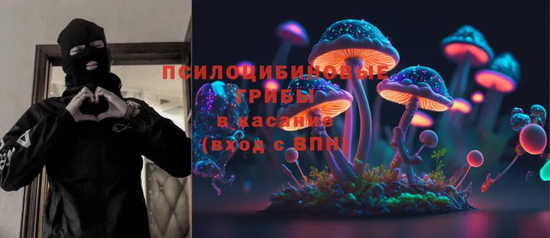 Галлюциногенные грибы Cubensis  Анжеро-Судженск 